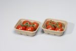 tomato packaging - pulp tray