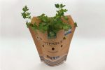 lettuce packaging - paper bag