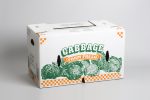 cabbage packaging - cardboard tray