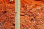 carrot packaging - pallet net