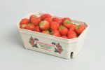Berries 11001 Pulp Tray NNZ DE