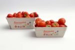 Berries 12032 Cardboard Tray NNZ DE