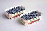 Berries 12007 Cardboard Tray NNZ DE